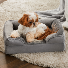 Ortopedisk Hund Sofa